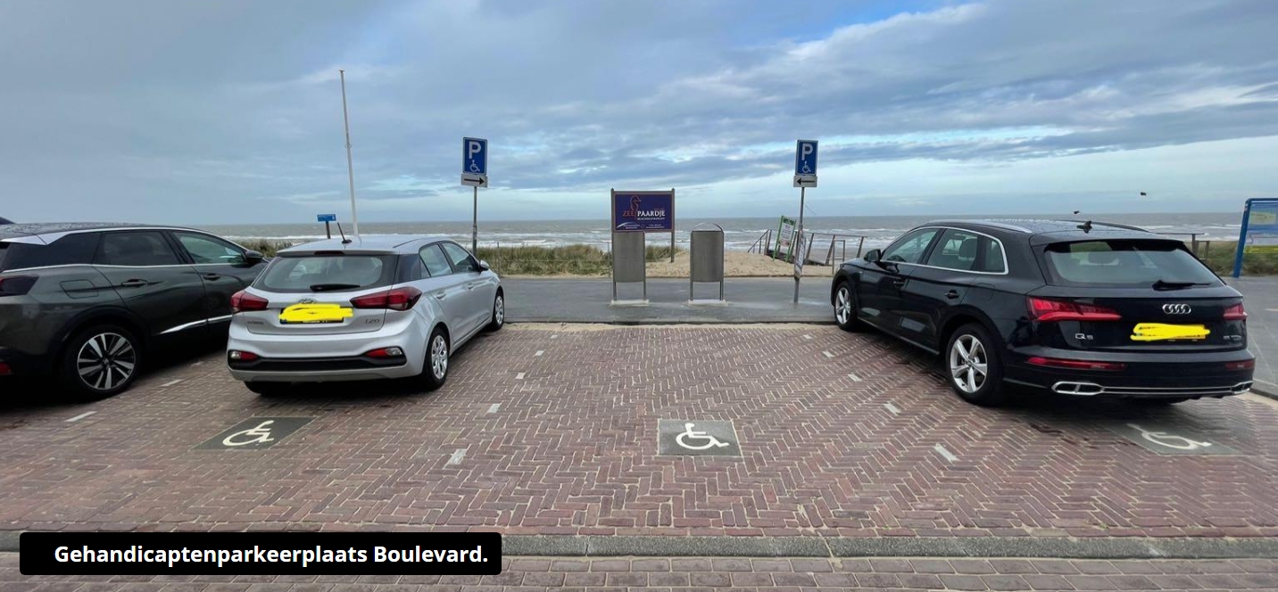 Gehandicaptenparkeerplaats Boulevard 