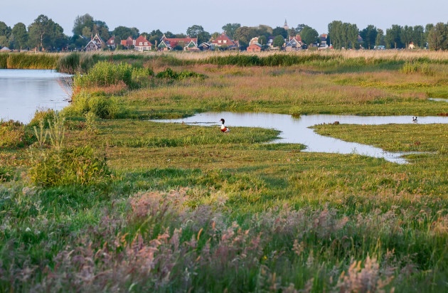 Vaartocht: Ontstaan van de Eilandspolder