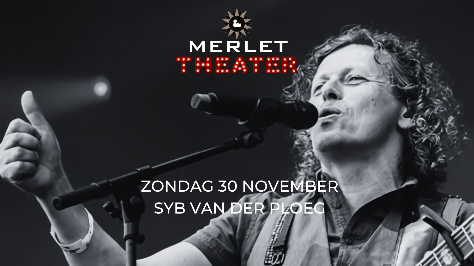 Syb van der Ploeg