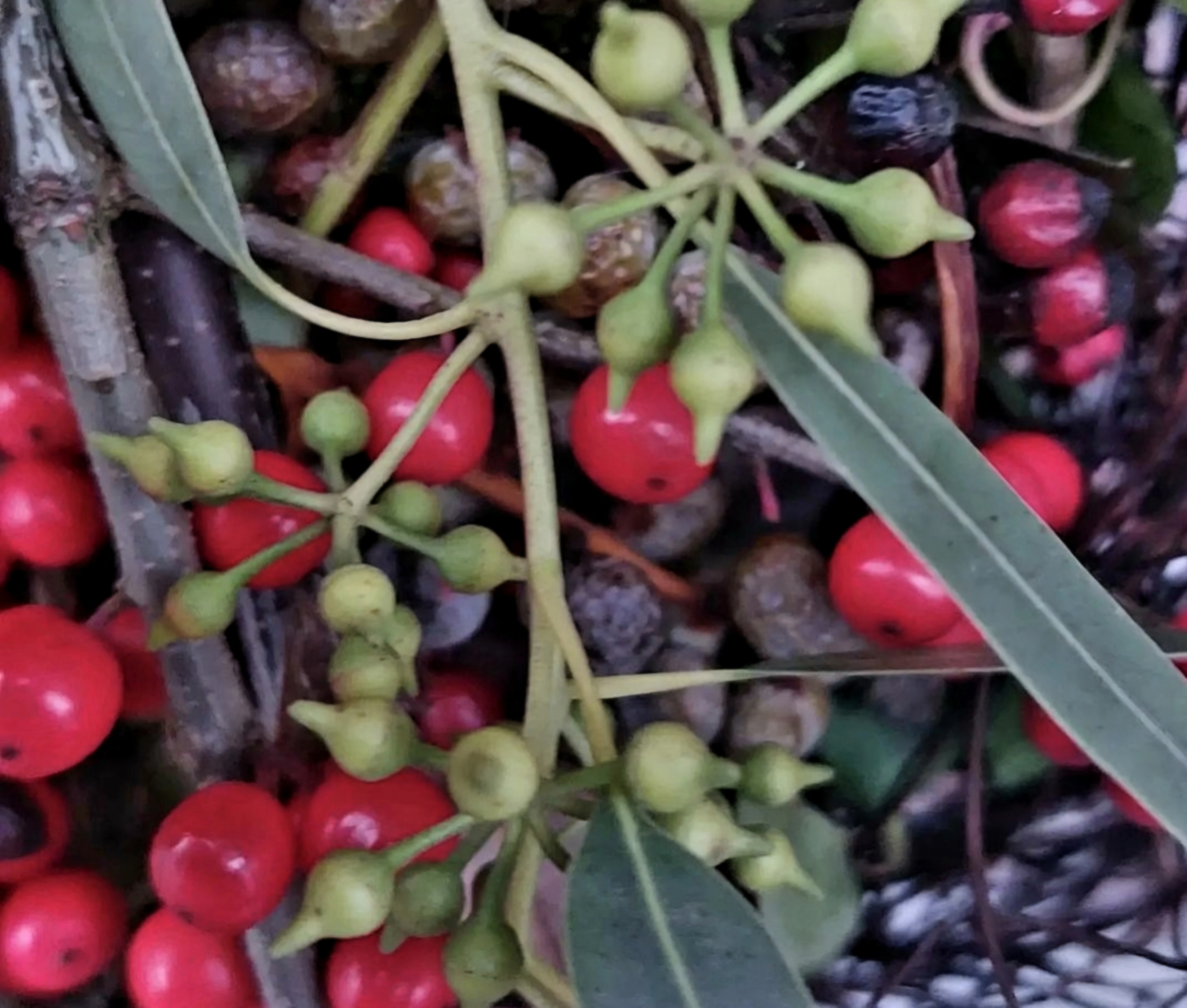 Voorbeeld nog niet beschikbaar