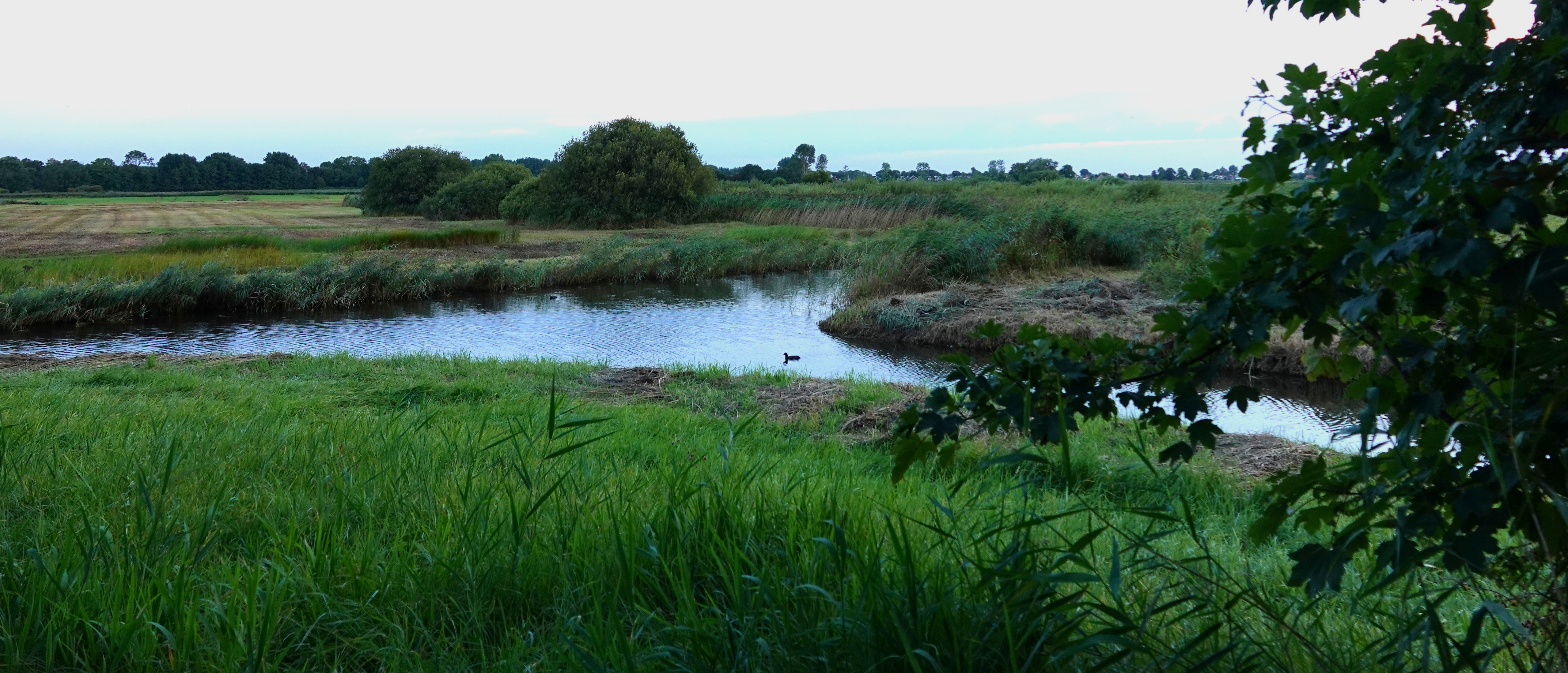 Wandeling Geestmerambacht / Kleimeer