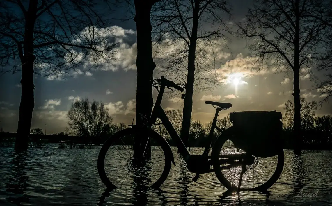Fietstocht door een verlicht Apeldoorn