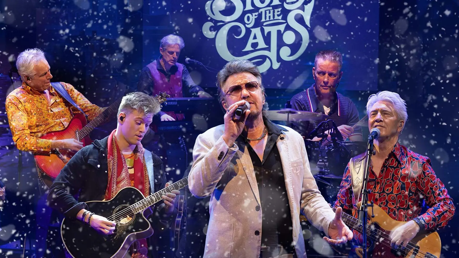 The Story of The Cats