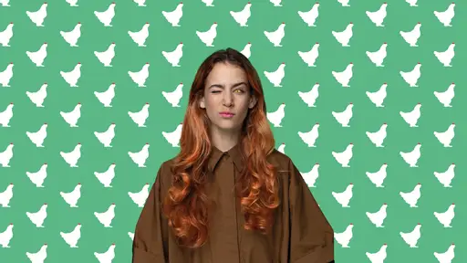 Het Sluwe Vosje