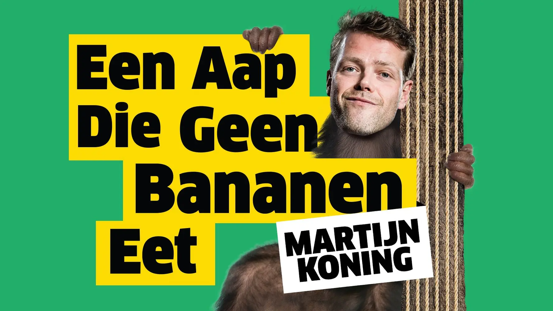Martijn Koning