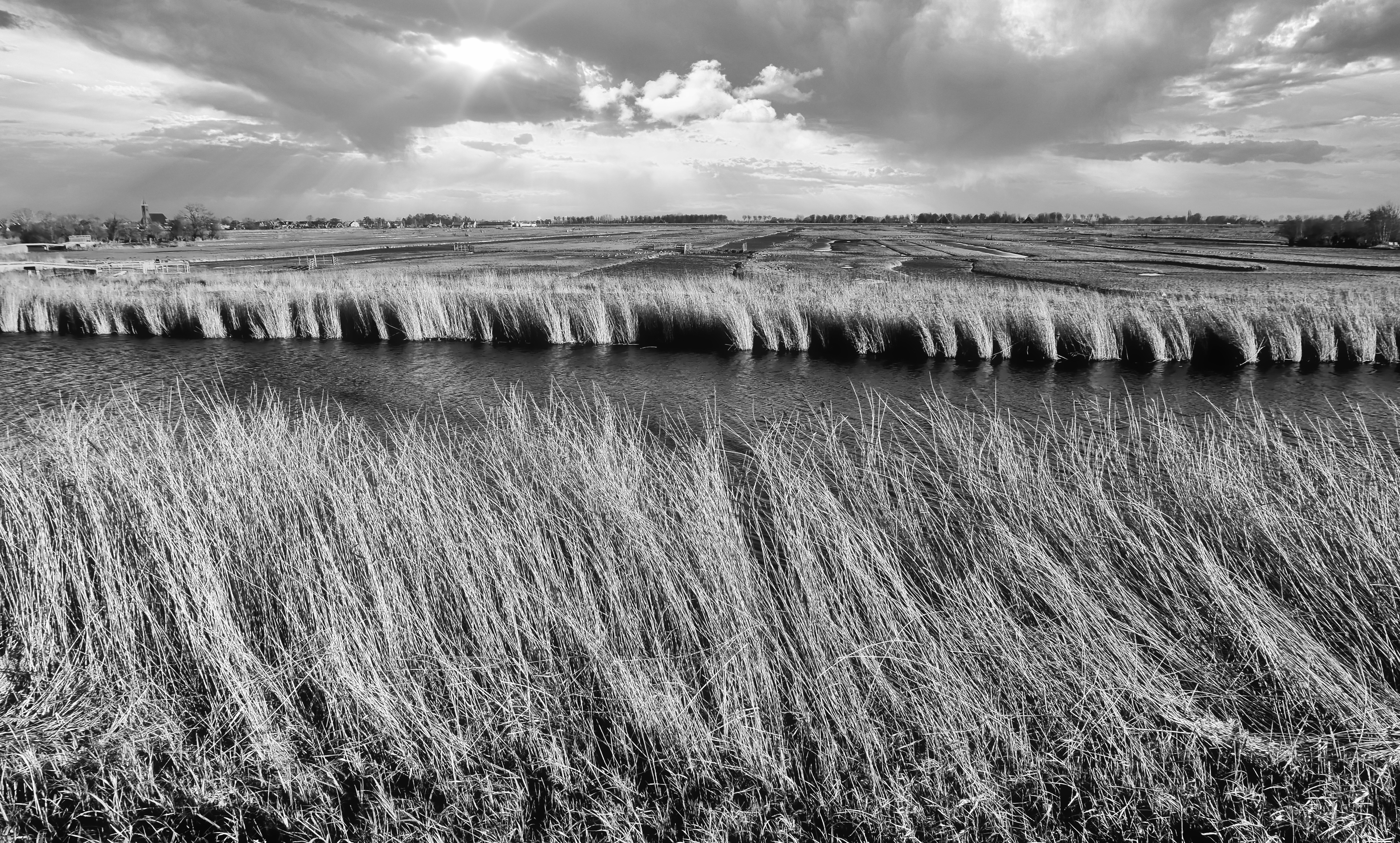 Expositie Leven met de Dijk