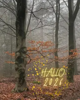 Gelukkige Nieuwjaarswandeling met Wildwise