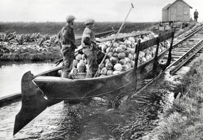 Lezing: Tussen Dijk en Waard 