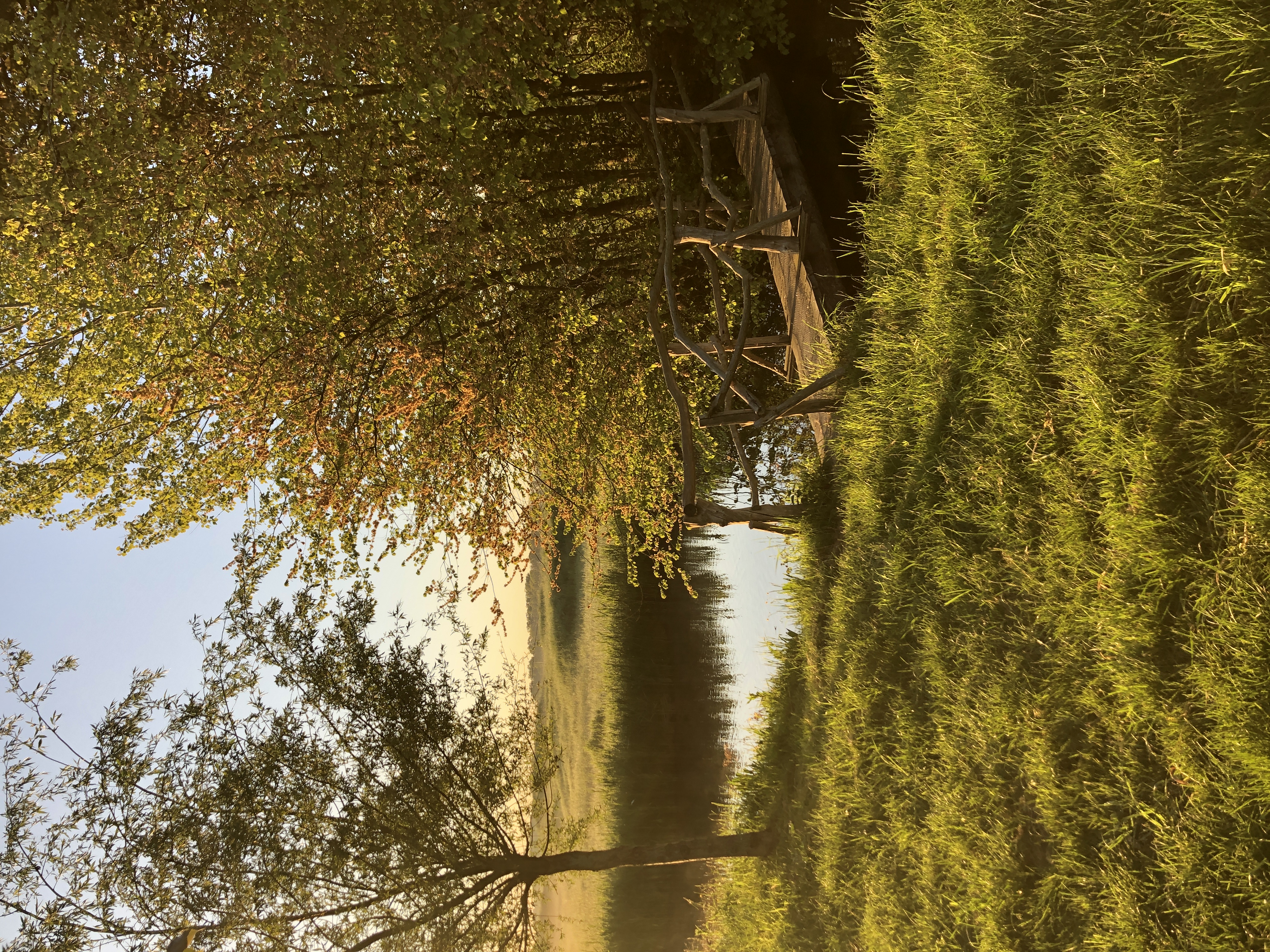 Rondleiding voedselbos De Groene Oase, inclusief speurtocht voor kinderen 