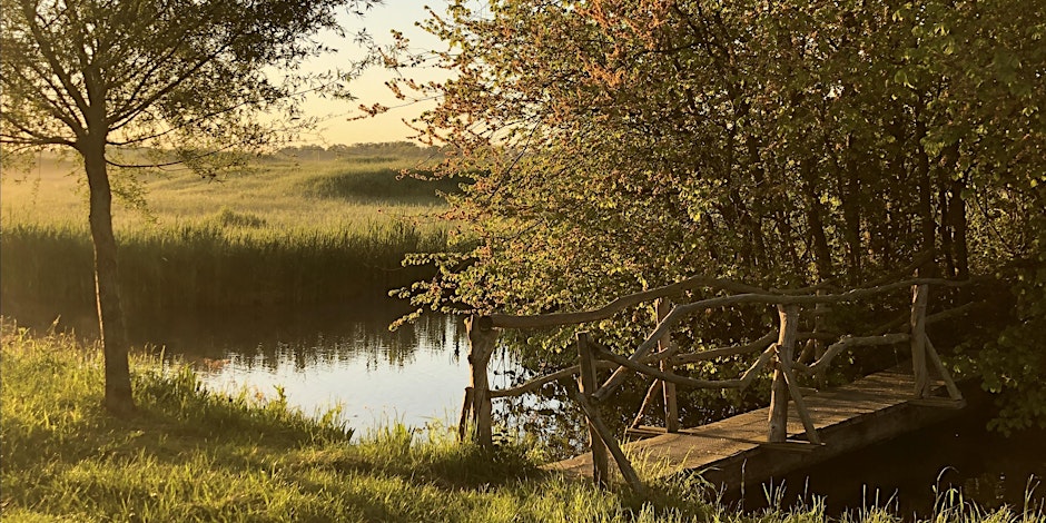 Rondleiding voedselbos De Groene Oase, inclusief speurtocht voor kinderen