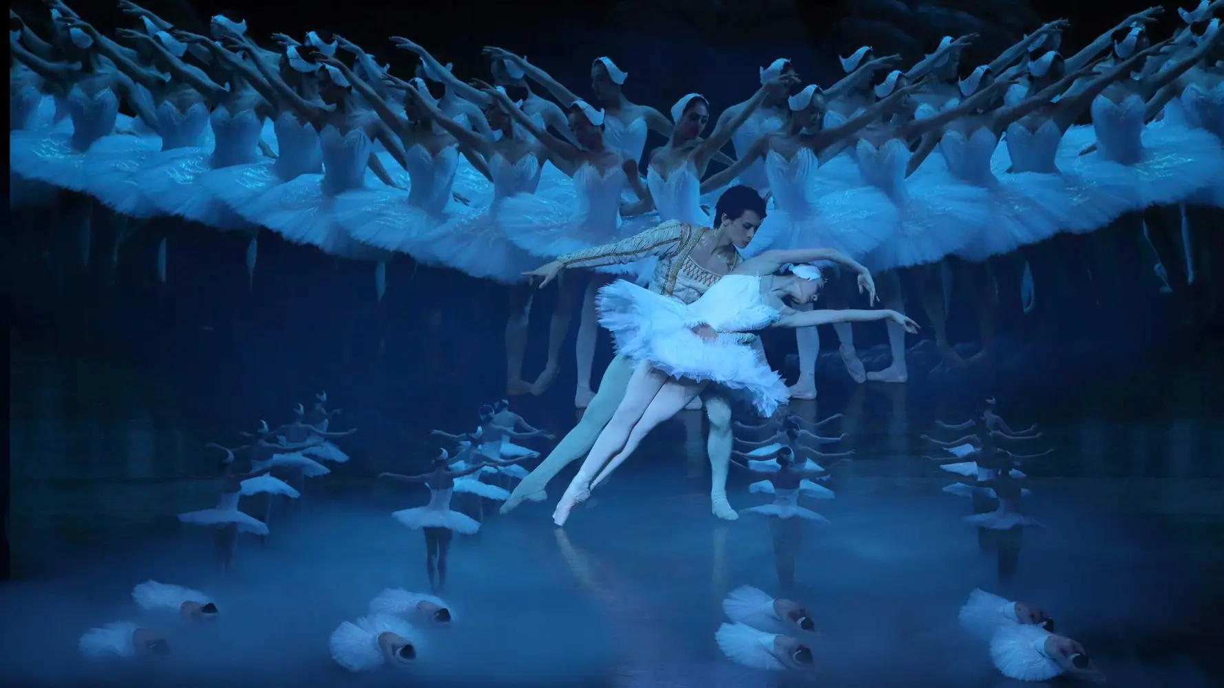 Het Grootste Zwanenmeer ter Wereld