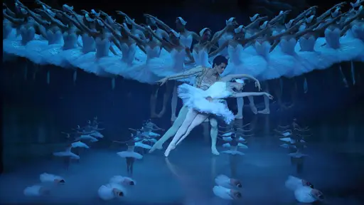 Het Grootste Zwanenmeer ter Wereld