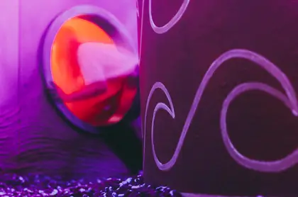 Foto van Doloris Anoma Maze