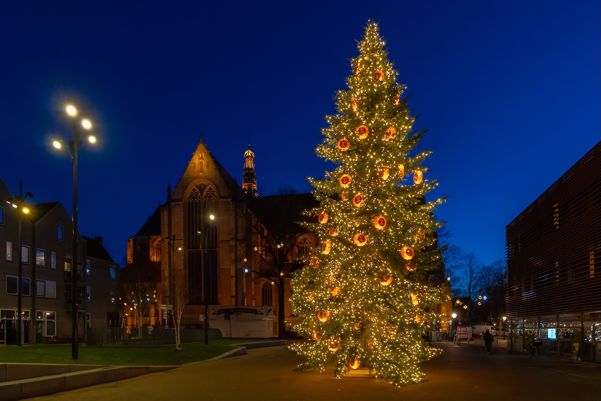 Ontsteking Kaaskerstboom