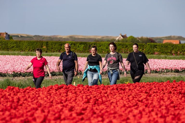 Wandeldag Kleurrijk Julianadorp