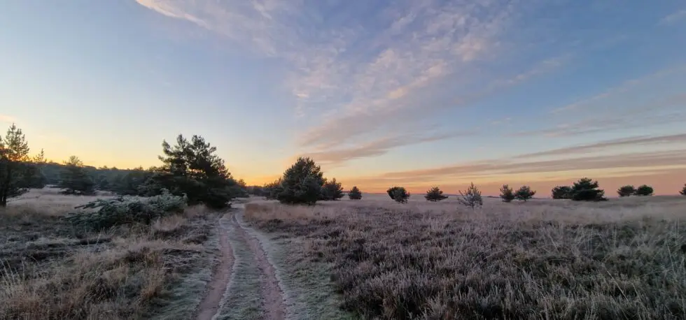 Ontwaken in het wilde hart van Nederland