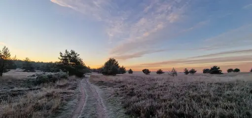 Ontwaken in het wilde hart van Nederland
