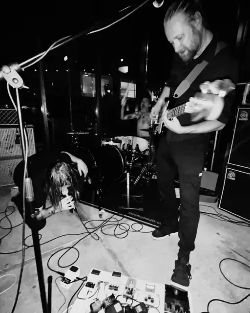 Live Stuurbaard Bakkebaard in de Flierefluiter