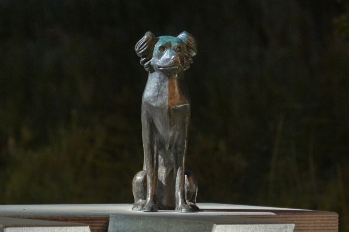 Marc Ruygrok | Letters worden beelden