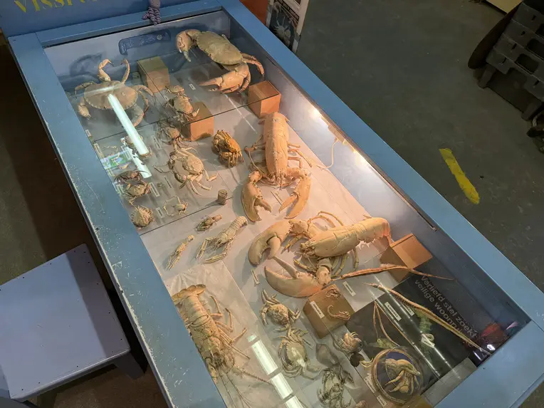 Jutters Muzeeum Zandvoort