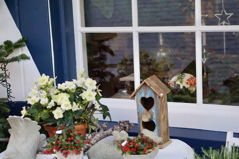 Hanneke Voit Bloemiste