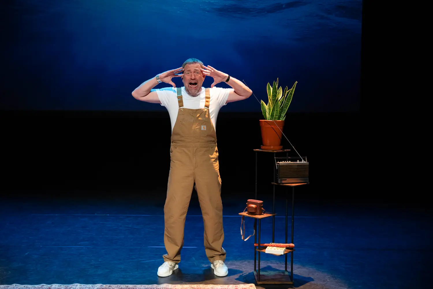 De toestand in de wereld volgens Harm Edens