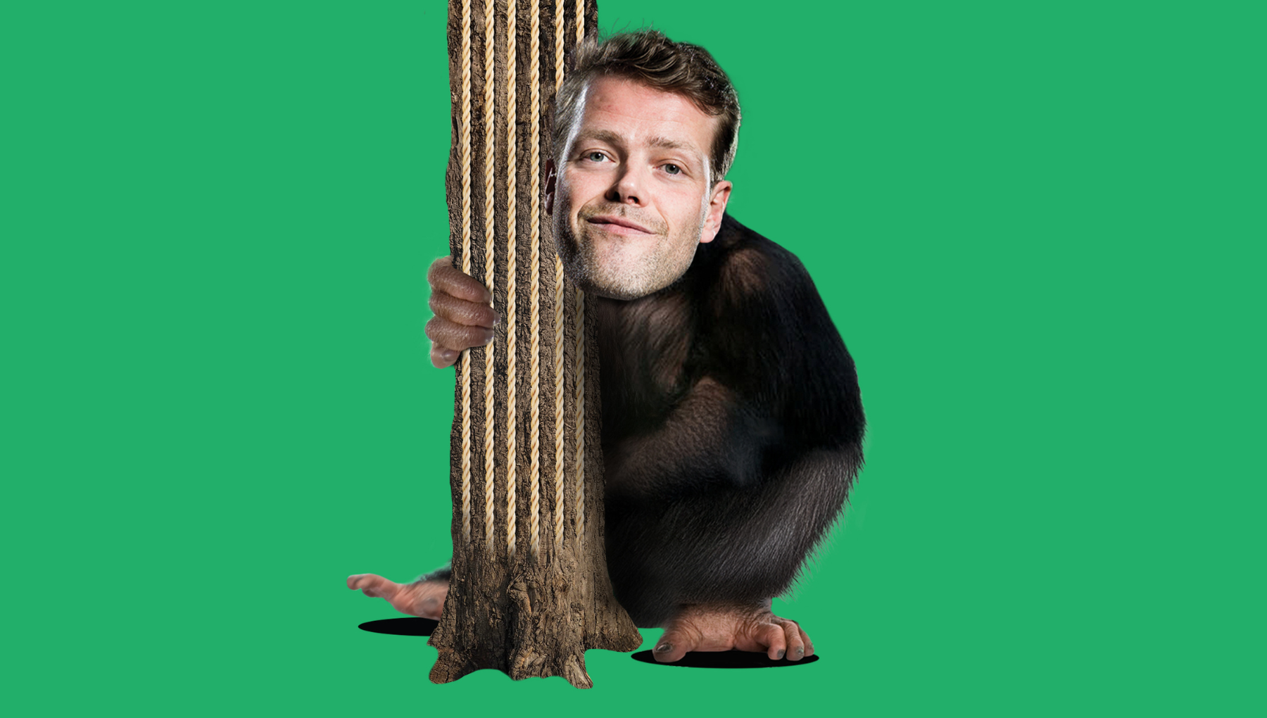 Martijn Koning - Een aap die geen bananen eet