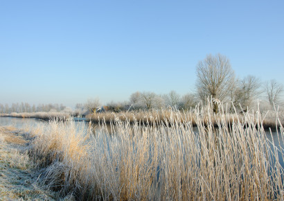 Wintergasten in de Eilandspolder