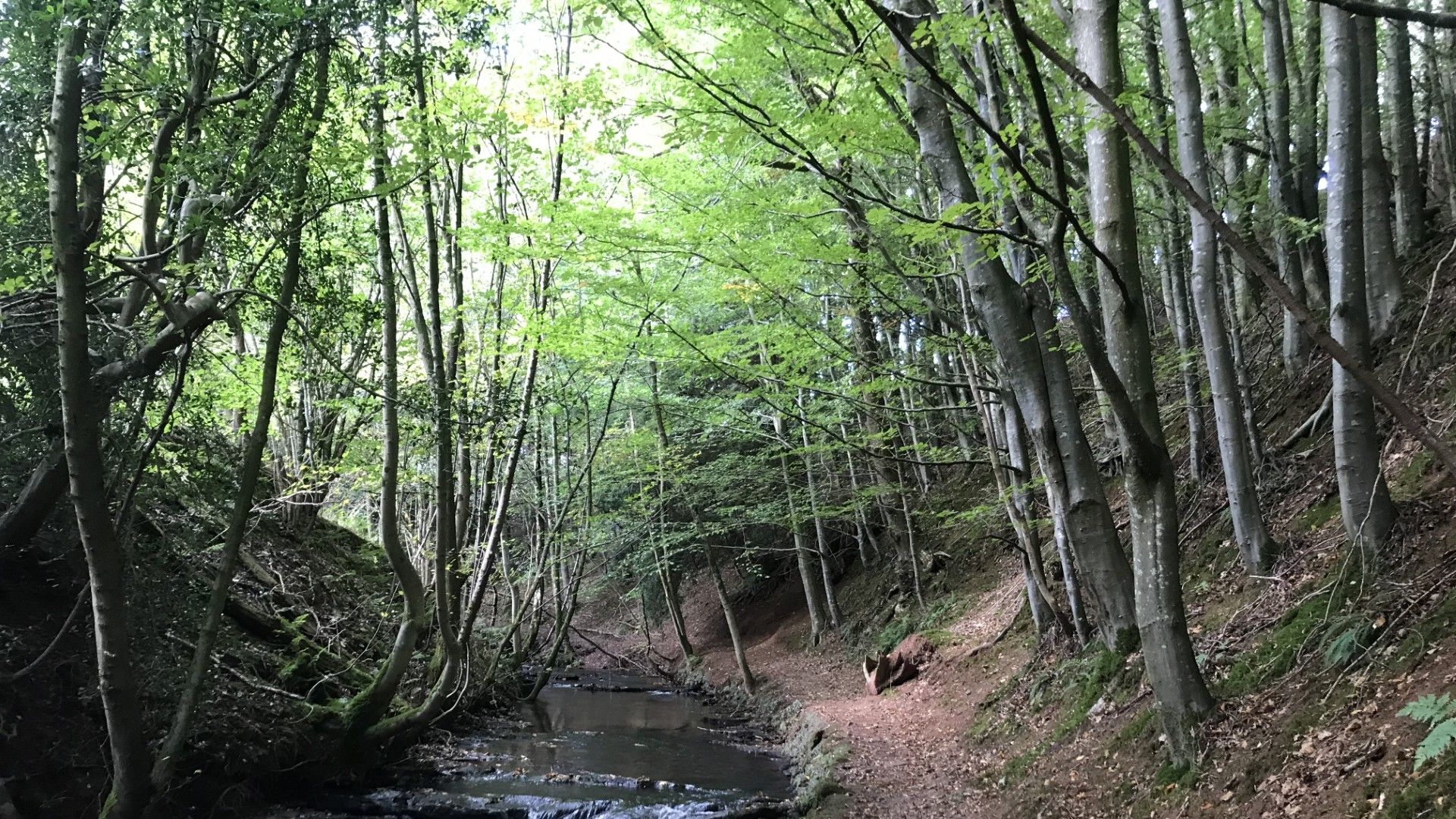 Ondertussen Joost II Sickenga / David Roos, Jordy Vogelzang, Bo Tarenskeen, Ernst Reijseger