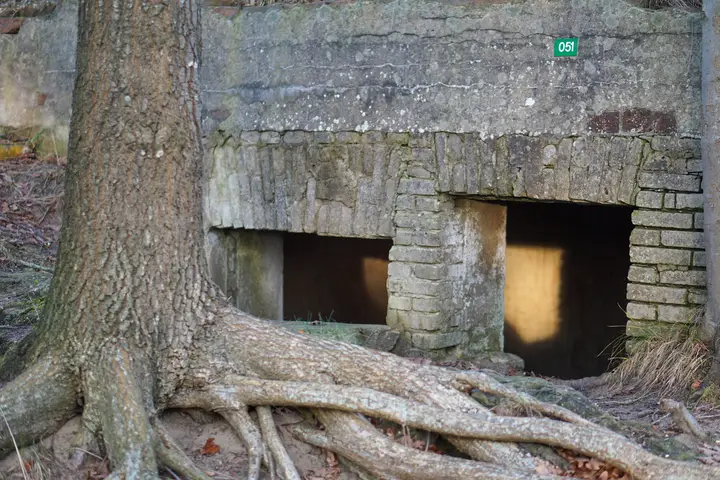 Bunker in de Amsterdamse Waterleidingduinen