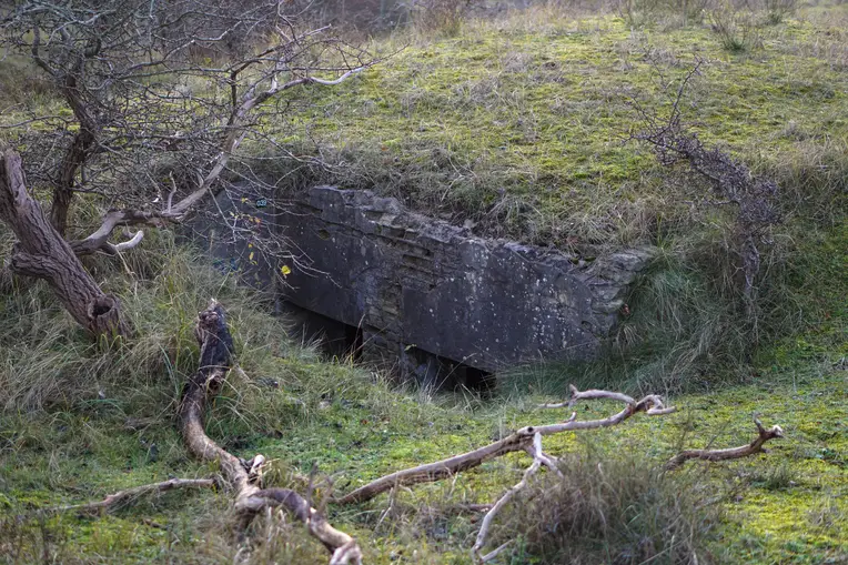 Bunker in de Amsterdamse Waterleidingduinen
