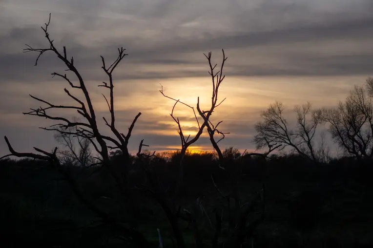 Bunkerroute in de Amsterdamse Waterleidingduinen
