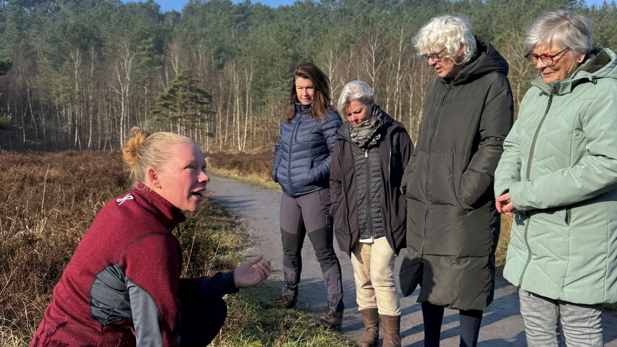 Kruidenzalf maken Schoorlse Duinen