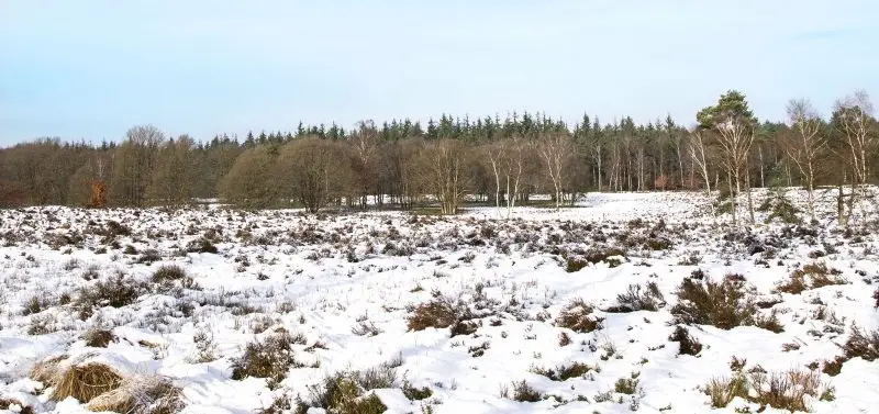 Wandeling IJstijden en Geologie