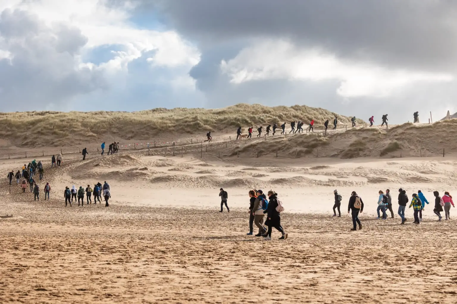 Natuurwandeling over strand en duinen met gids Zandvoort