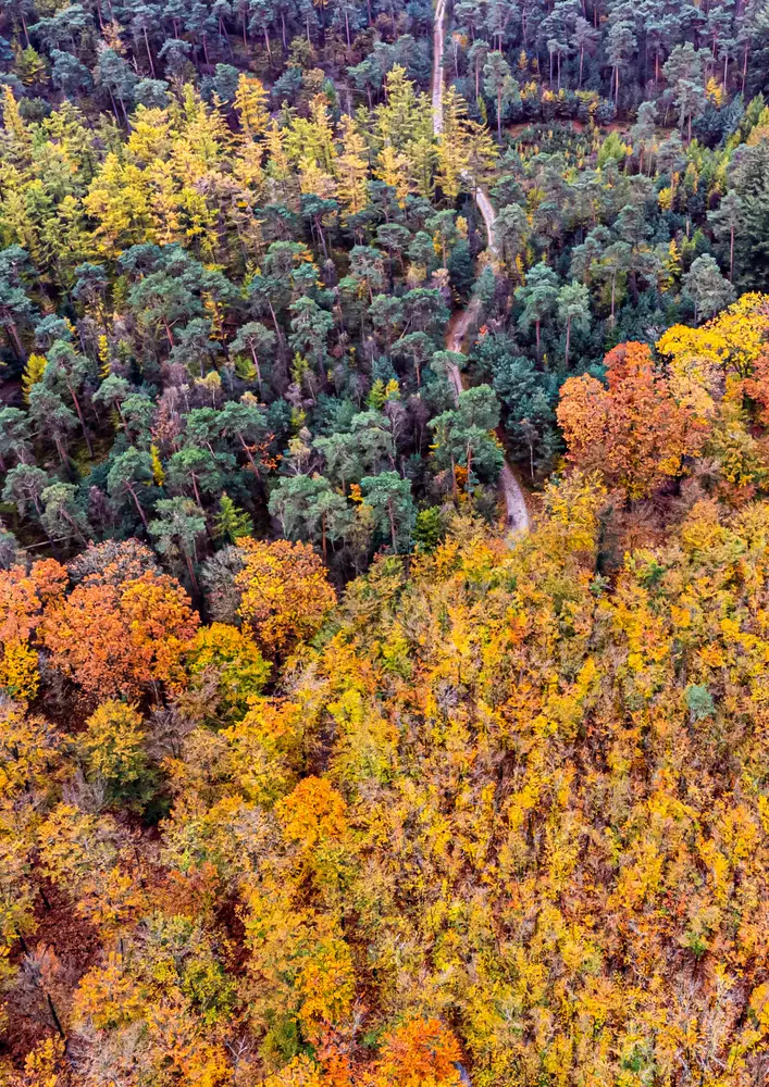 Lezingencyclus: Biodiversiteit in onze leefomgeving