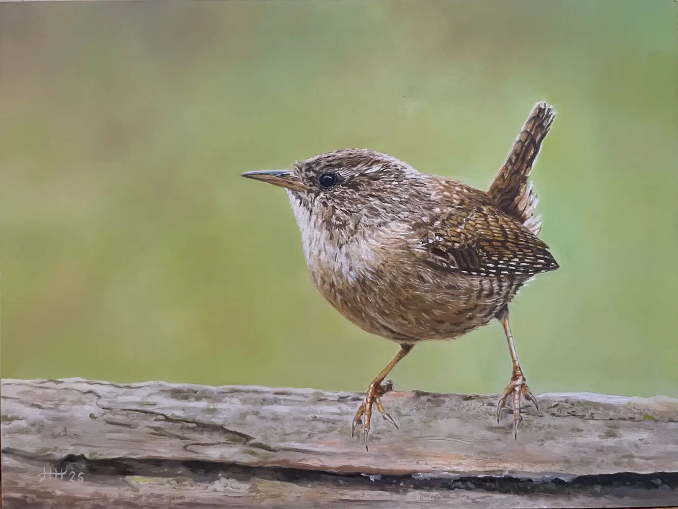 Kunst in Zuid – schilderijen in beeld