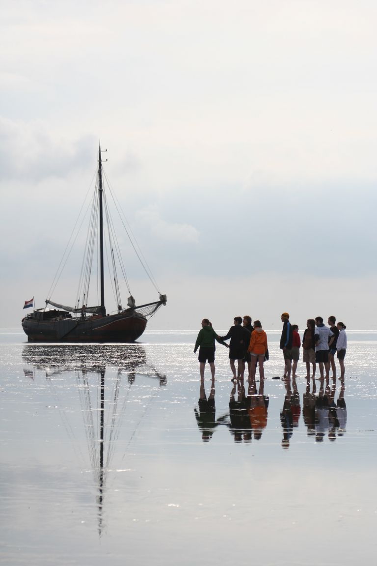 Zeil mee naar de Zandbank en beleef de Waddenzee!