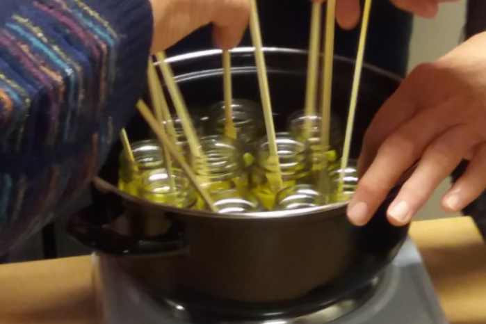 Kruidenworkshop | Zomerse ongemakken natuurlijk verhelpen