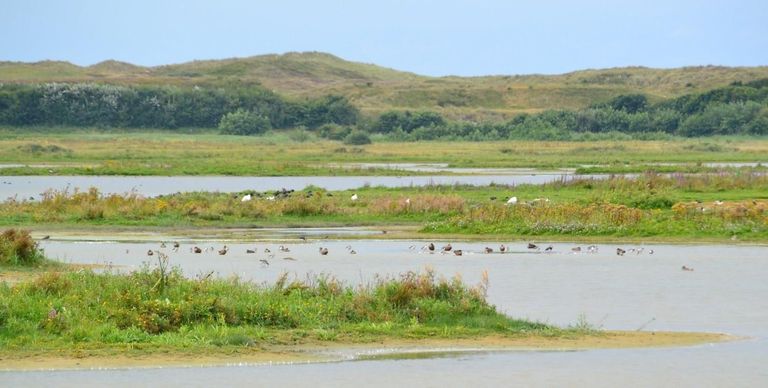 4 Seizoenswandeltocht door Den Helder