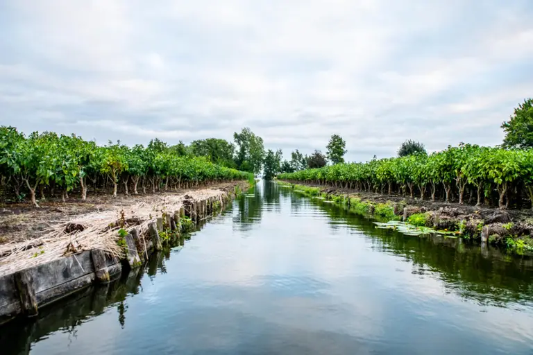 Sup- en kanoroute Bovenlanden Aalsmeer