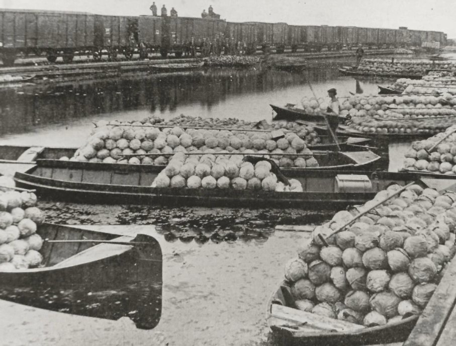 Lezing: Hoe regelden Langedijkers hun transport?