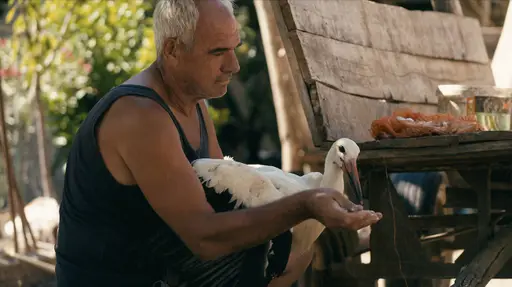 The Tale of Silyan | FoodFilmFest