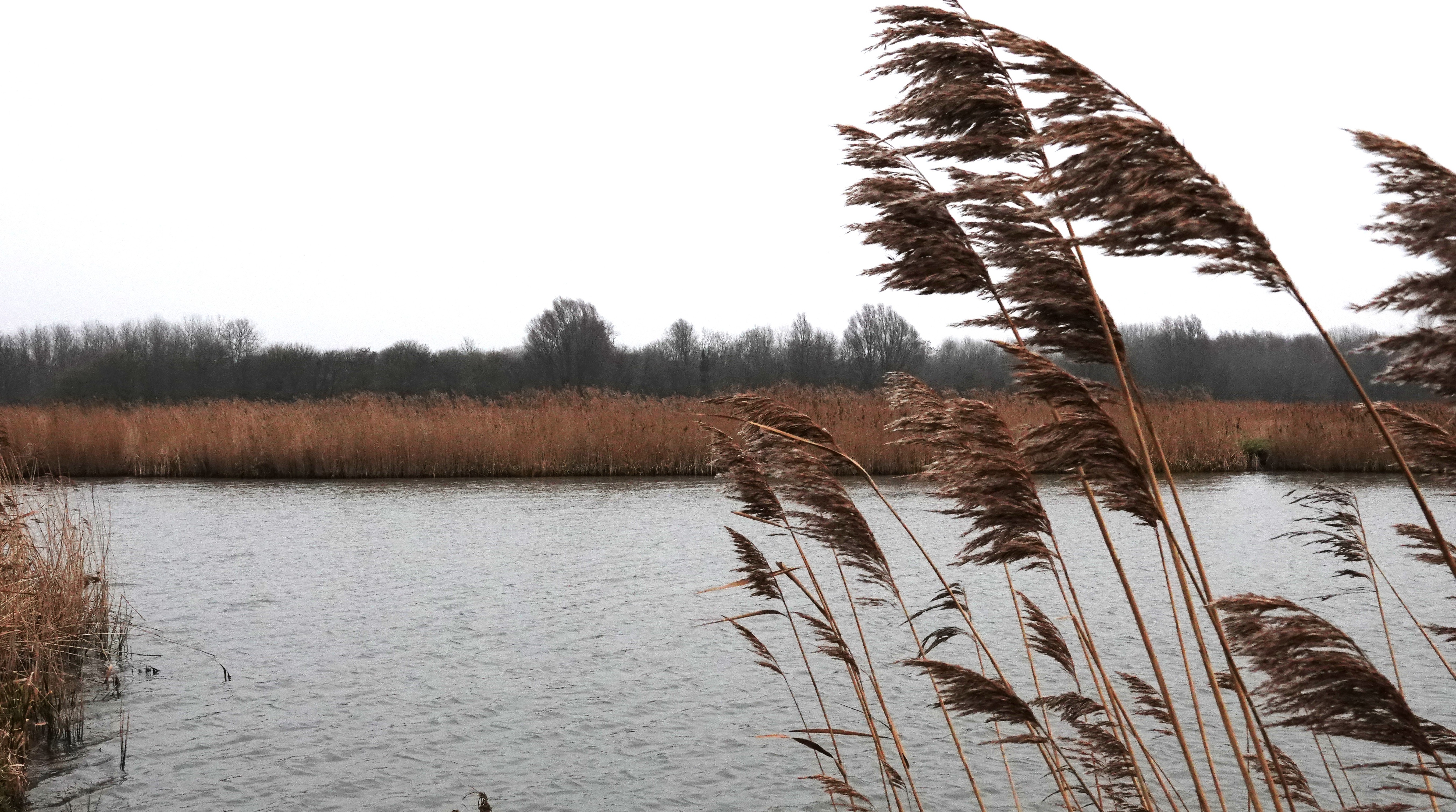 Winters Geestmerambacht