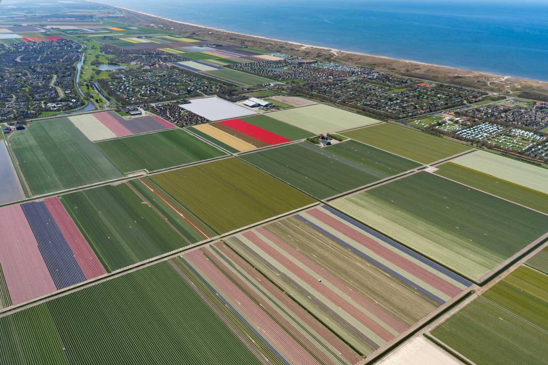 Helikoptervlucht boven de tulpenvelden