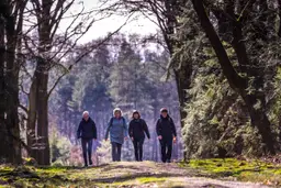 Midden Veluwe Wandeltocht