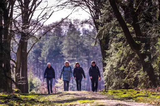 Midden Veluwe Wandeltocht