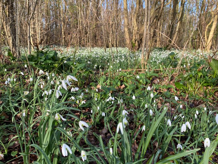 Noorderhavenloop 2026