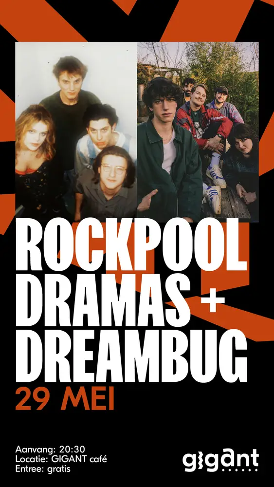 Rockpool Dramas + Dreambug
