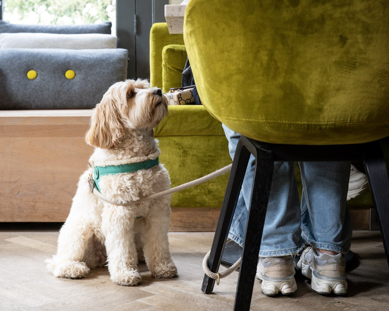 Start broedseizoen bij Het Hof met je hond